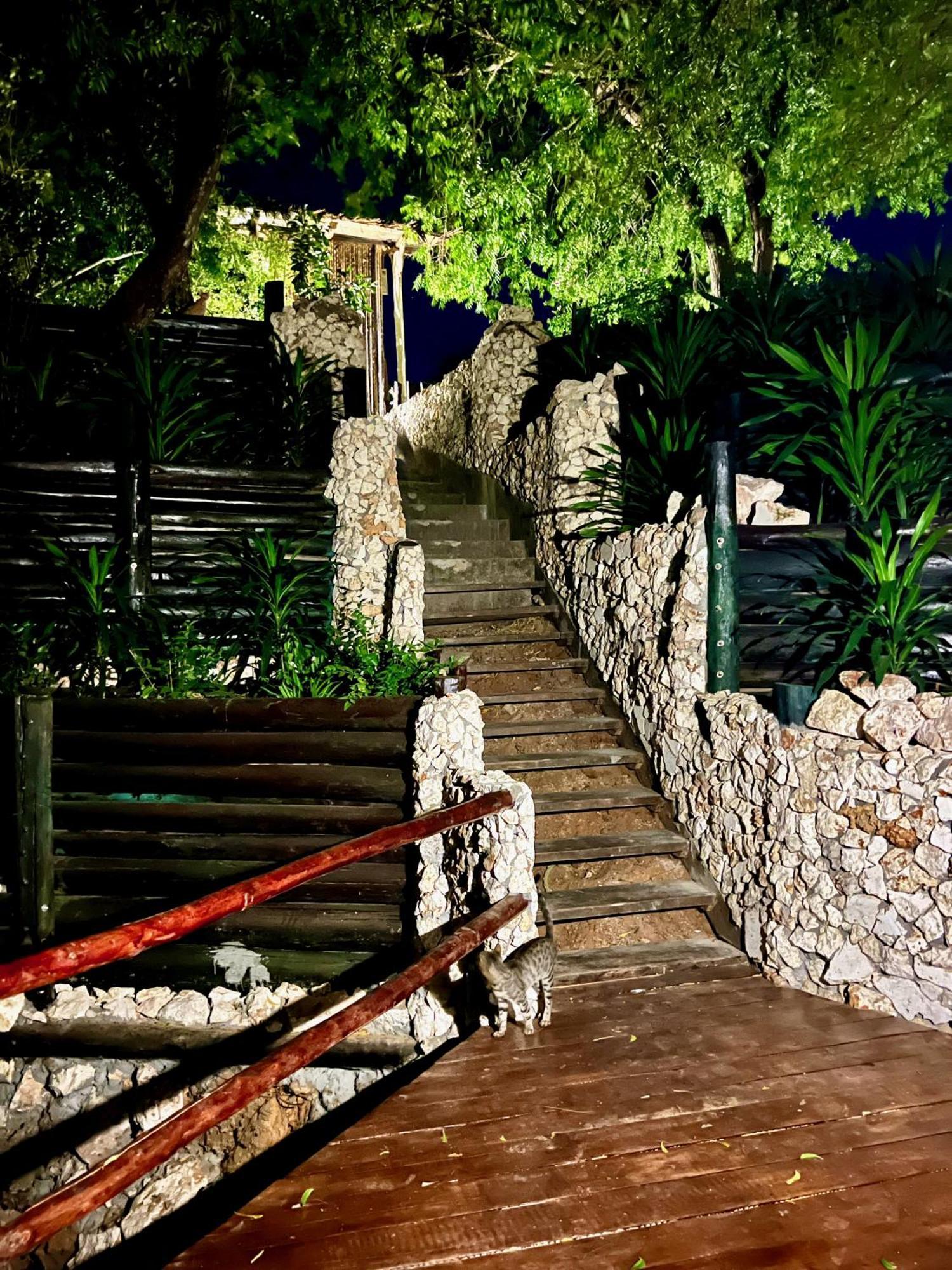 واتامو Rock And Sea Resort المظهر الخارجي الصورة